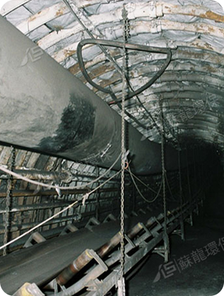 江蘇蘇龍生態技術有限公司