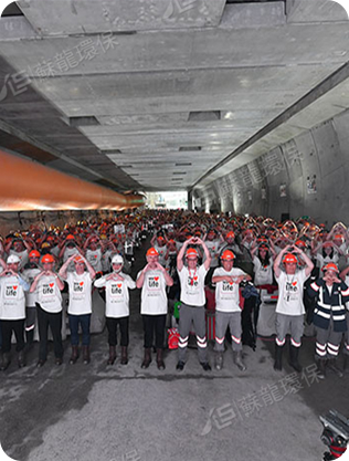 江蘇蘇龍生態技術有限公司