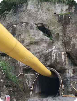 江蘇蘇龍生態技術有限公司