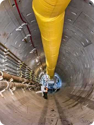 江蘇蘇龍生態技術有限公司