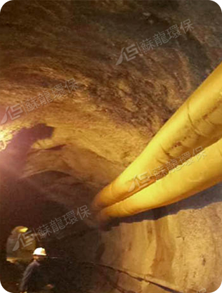 江蘇蘇龍生態技術有限公司