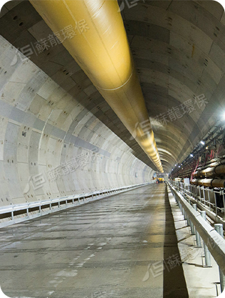 江蘇蘇龍生態技術有限公司