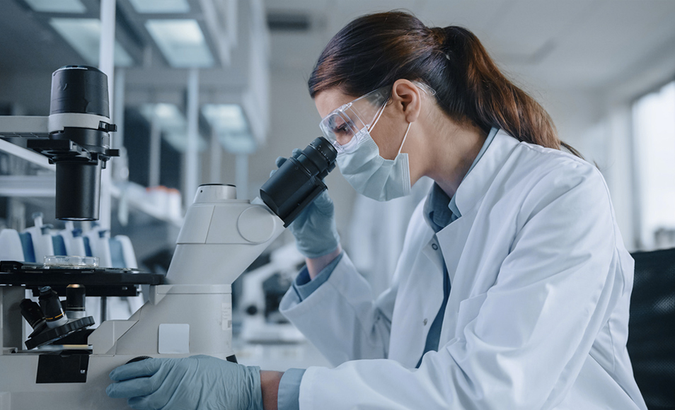 江蘇蘇龍生態技術有限公司